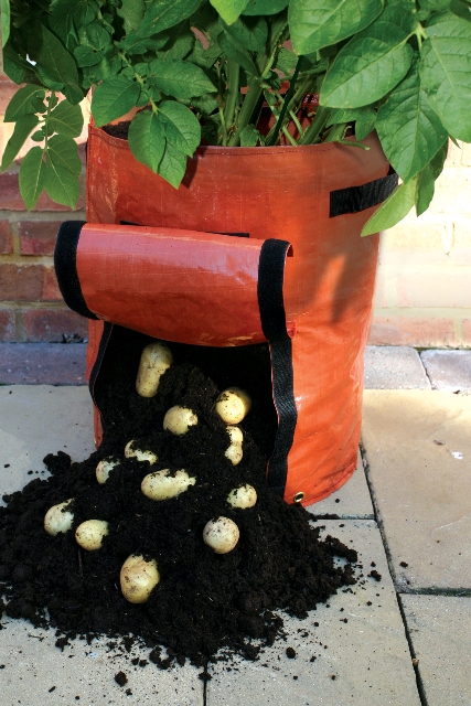 Saco para Cultivar Patatas